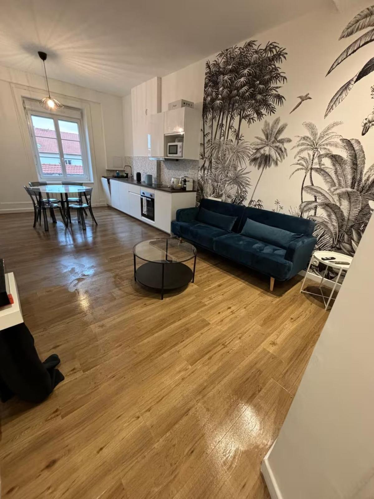 Superbe T2, Renove, Calme Apartment Villeurbanne